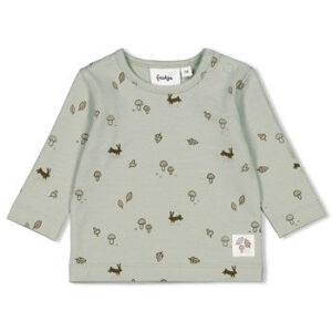 Image T-shirt Langarm Little Forest Friends Feetje 62