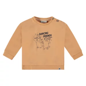 Image Sweatshirt Orange Größe:74