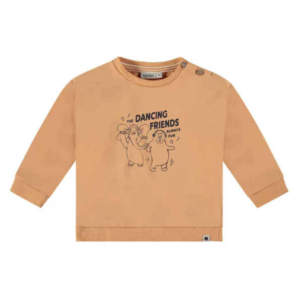 Image Sweatshirt Orange Größe:74